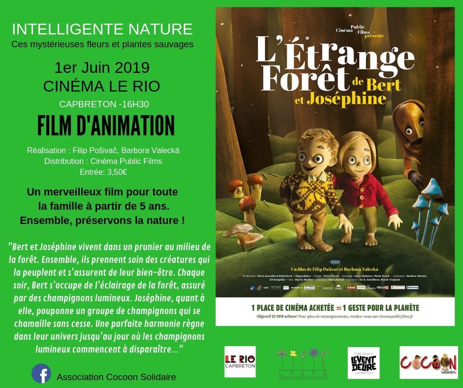 film d'animation